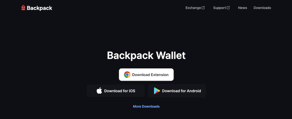 Backpack Wallet